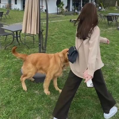 摇摇晃晃的人间
